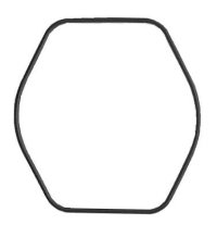 Packing/O-Ring (Back)