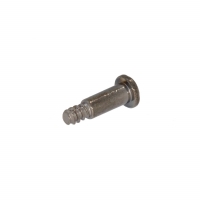 Bezel Screw