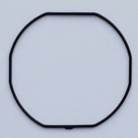 Packing/O-Ring (Back)