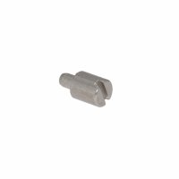 Bezel Screw