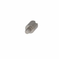 Bezel Screw