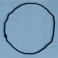 Packing/O-Ring (Back)