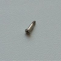 Bezel Screw