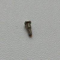 Bezel Screw
