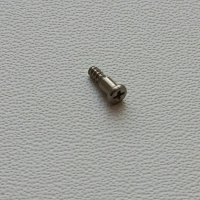 Bezel Screw