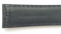 Casio Watch Band (Leather with Spring Rods)