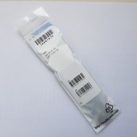 Casio Watch Band (Resin)