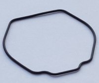 Packing/O-Ring (Back)