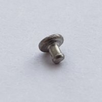 Bezel Screw