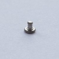 Bezel Screw