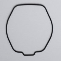 Packing/O-Ring (Back)