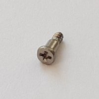 Bezel Screw