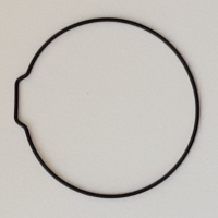 Packing/O-Ring