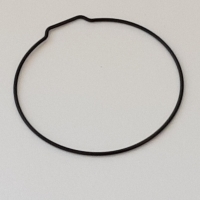 Packing/O-Ring