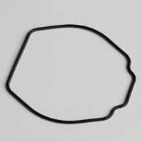 Packing/O-Ring (Back)