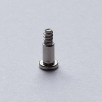 Винт для ранта