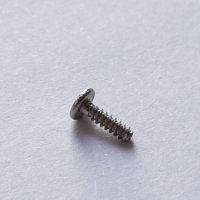 Bezel Screw