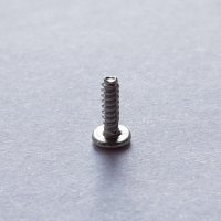 Bezel Screw