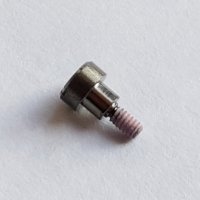 Bezel Screw