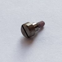Bezel Screw