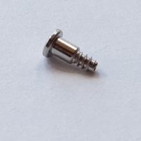 Bezel Screw