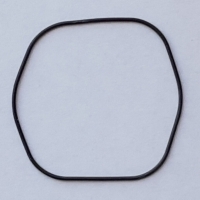 Packing/O-Ring (Back)