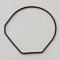 Packing/O-Ring (Back)