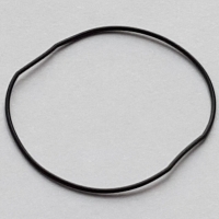 Packing/O-Ring