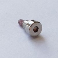 Bezel Screw (Hexagon)