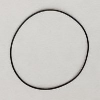 Packing/O-Ring (Back)