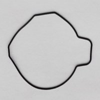 Packing/O-Ring (Back)