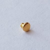 Bezel Screw