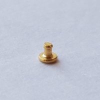 Bezel Screw