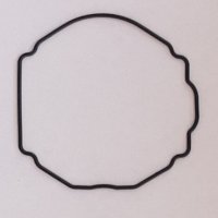 Packing/O-Ring (Back)