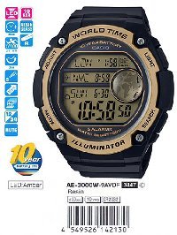 AE-3000W-9A