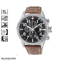 AN3620-01H