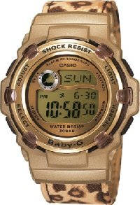 BG3000V-5 (3248)