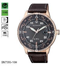 BM7393-16H