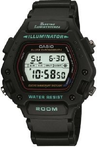 DW-290-1 (3231)