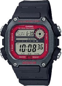 DW-291H-1B (3484)