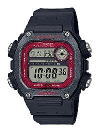 DW-291H-1BVEF