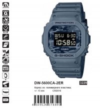 DW-5600CA-2