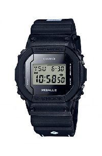 DW-5600PGB-1E