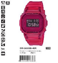 DW-5600SB-4ER