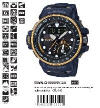 GWN-Q1000NV-2A