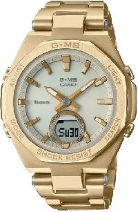 MSG-B100DG-9A (5659)