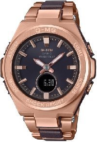 MSG-S200CG-5A (5576)