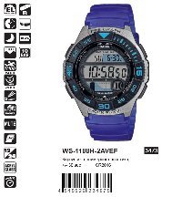 WS-1100H-2AVEF