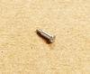 SCREW/DECORATIVE