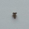 Bezel Screw
